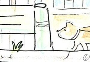 サムネイル　柴犬